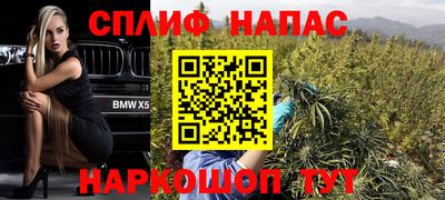 сатива Кунгур