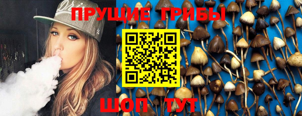 Галлюциногенные грибы Psilocybine cubensis Ирбит