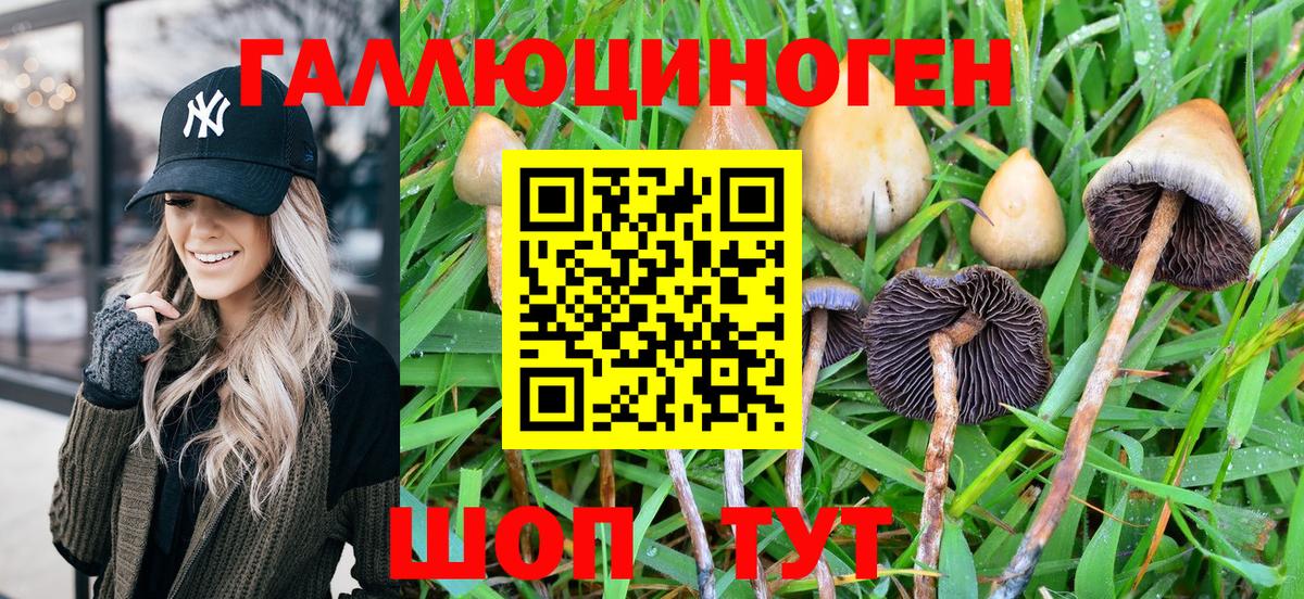 Ирбит  Псилоцибиновые грибы Magic Shrooms  Вход с VPN 